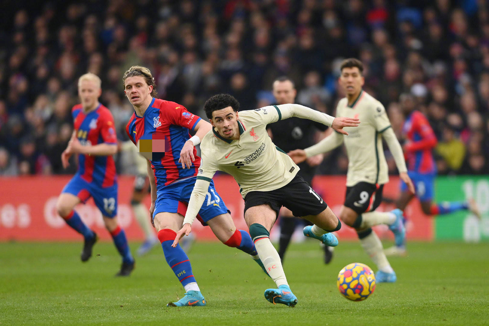 曼城坐镇主 曼城坐镇主