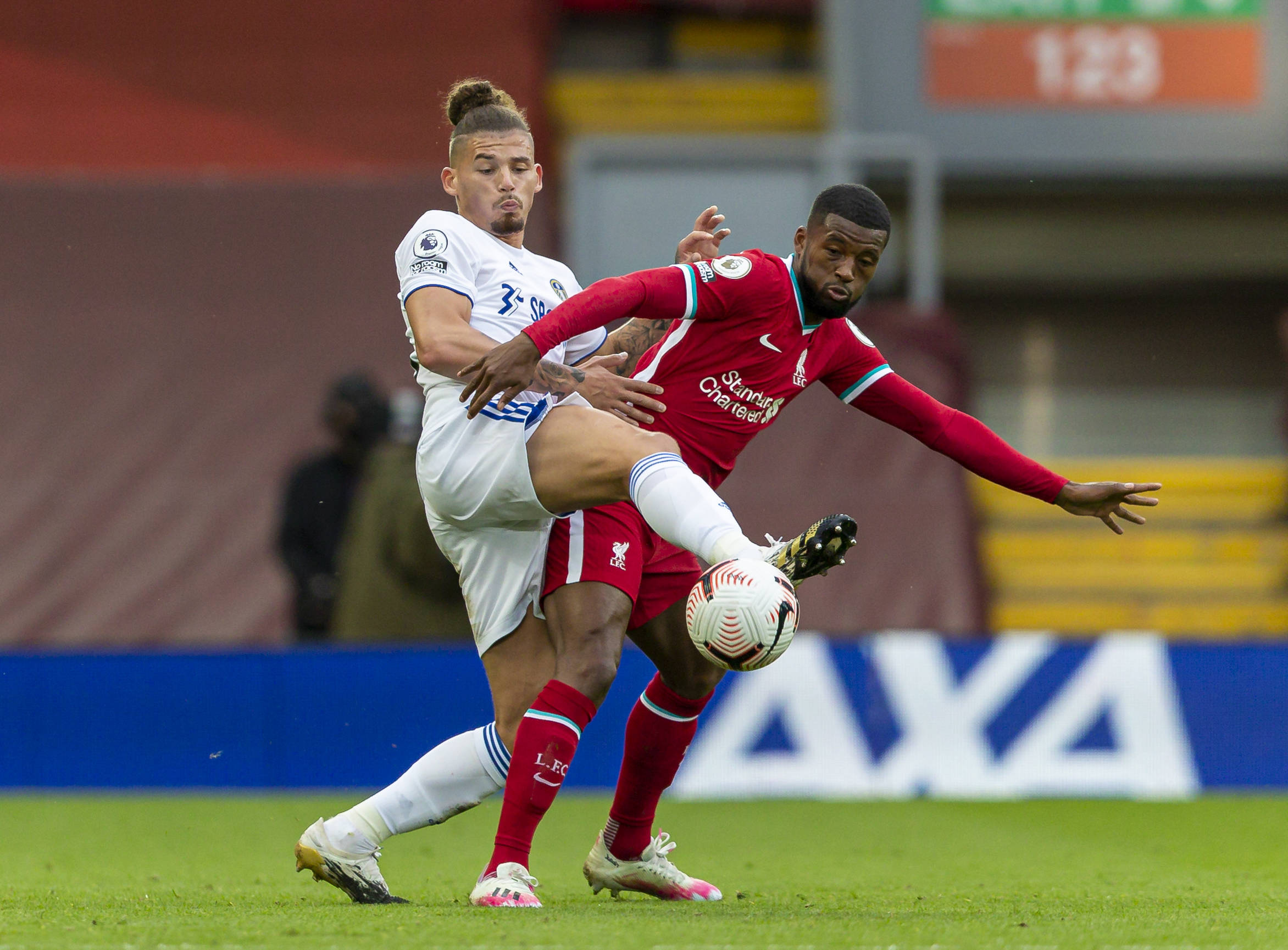 内外知名青 内外知名青