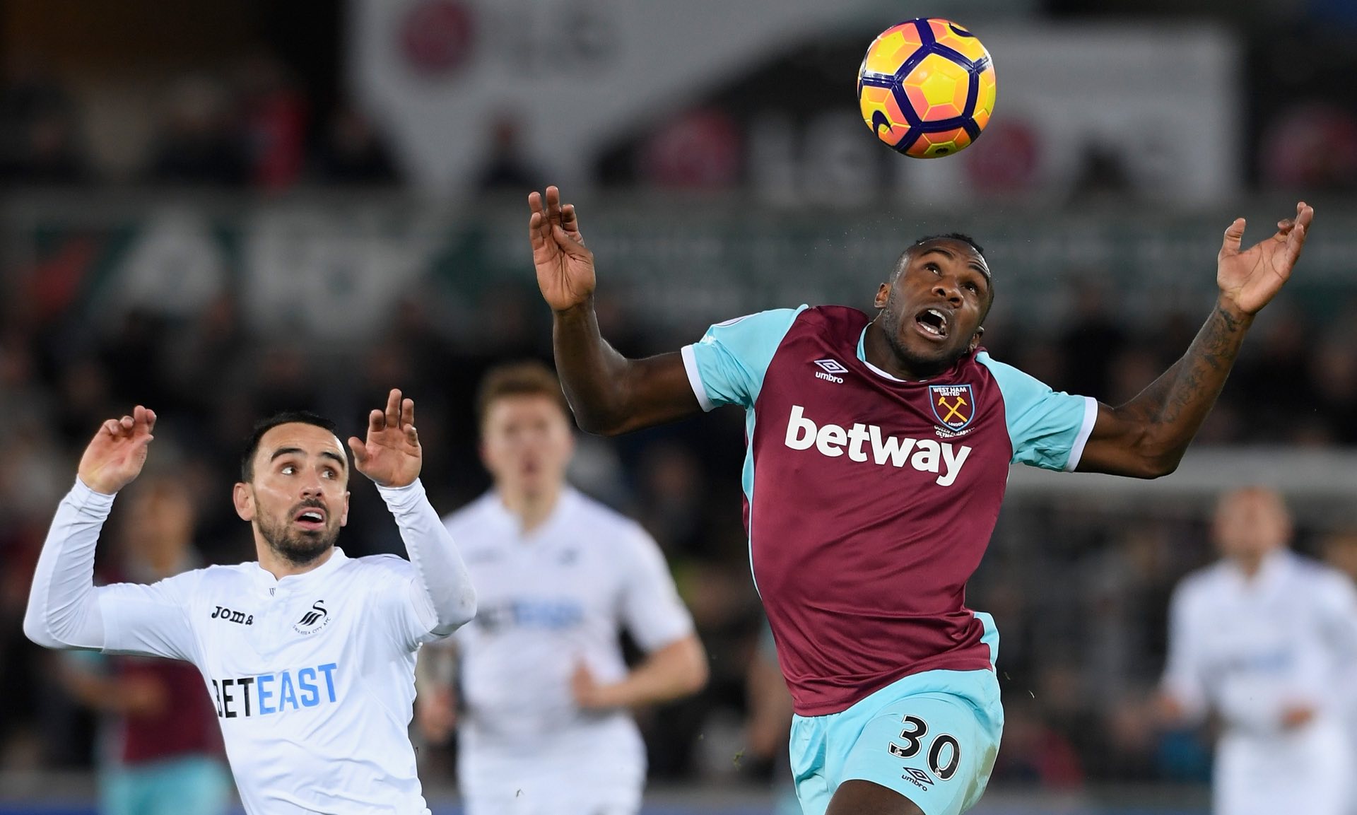 森之间的谈 森之间的谈